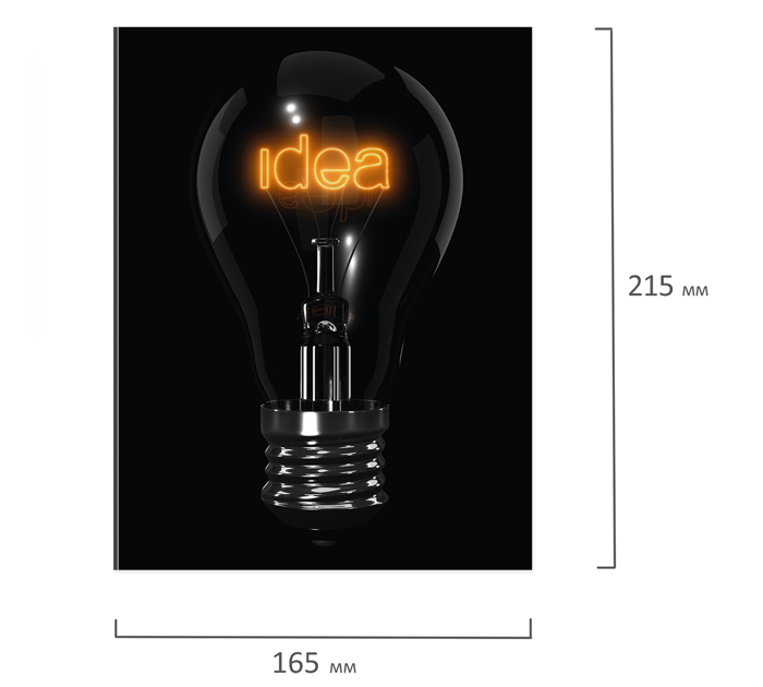 Тетрадь на кольцах А5, 160л, клетка, Brauberg «Idea»