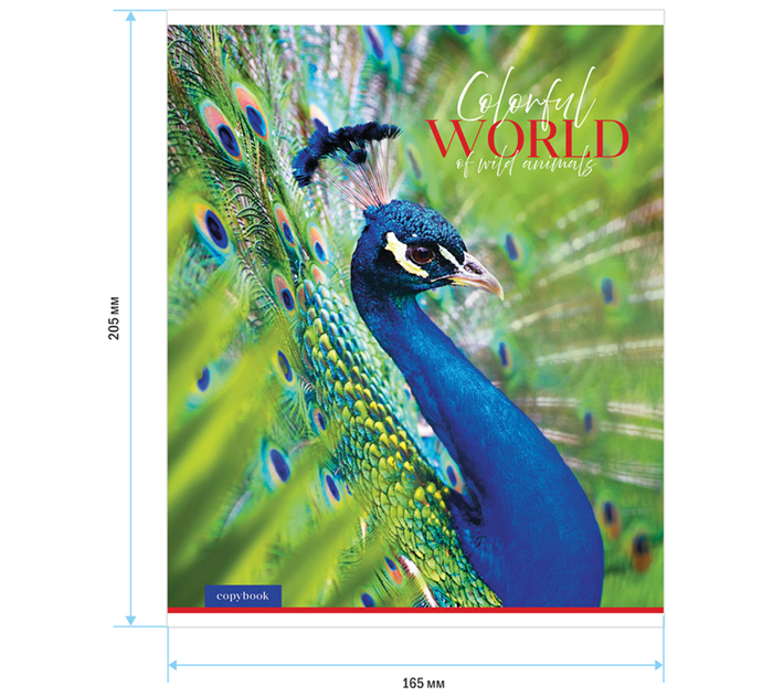 Тетрадь А5 48л клетка, эконом, ArtSpace «Животные. Colorful world»