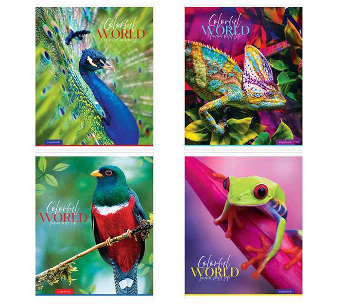 Тетрадь А5 48л клетка, эконом, ArtSpace «Животные. Colorful world»