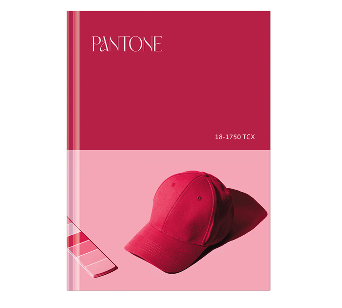 Книжка записная БиДжи «Viva magenta» А5, 80л, в точку