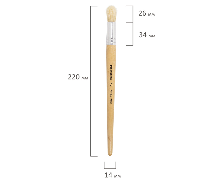 Кисть Brauberg №12, щетина, круглая