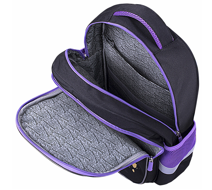 Рюкзак Brauberg «Favour» 400х290х150мм, 2 отделения