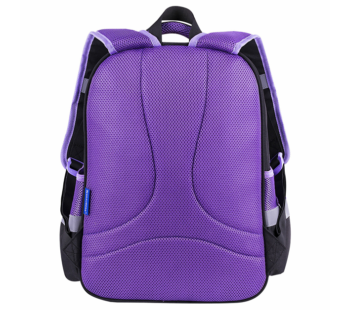 Рюкзак Brauberg «Favour» 400х290х150мм, 2 отделения