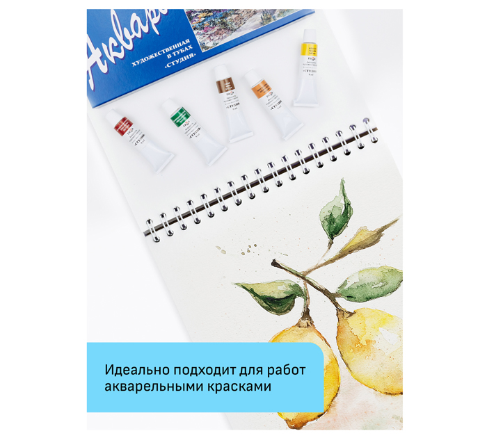 Альбом для акварели Гамма «Студия» А4, 200 г/м², 24л, среднее зерно, на спирали