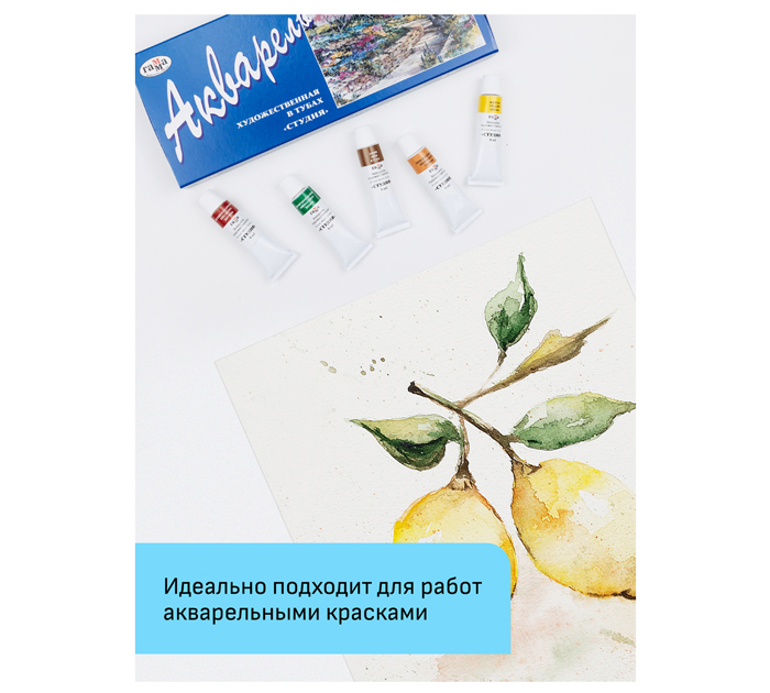 Папка для акварели Гамма «Студия» А4, 200 г/м², 15л, среднее зерно