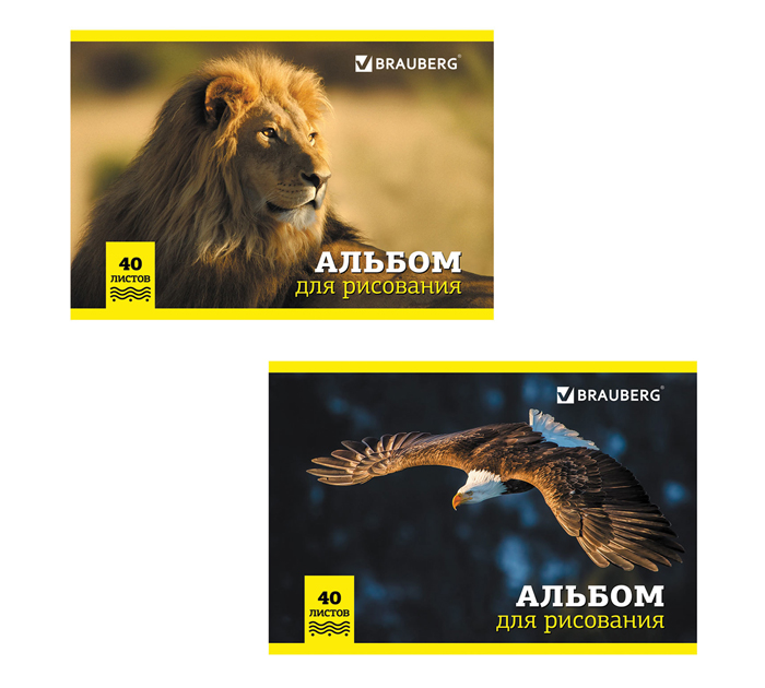 Альбом для рисования Brauberg «Дикие животные» А4, 40л, на скобе
