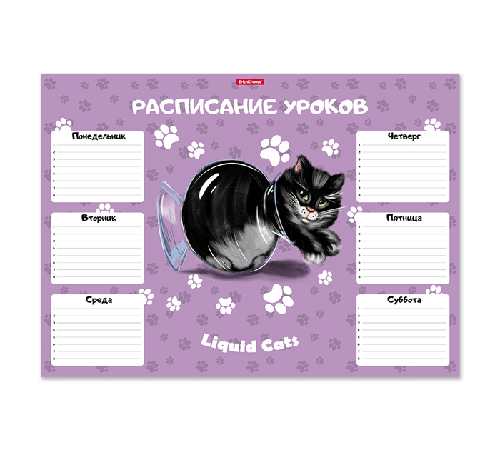 Расписание уроков Erich Krause «Жидкие коты» А3