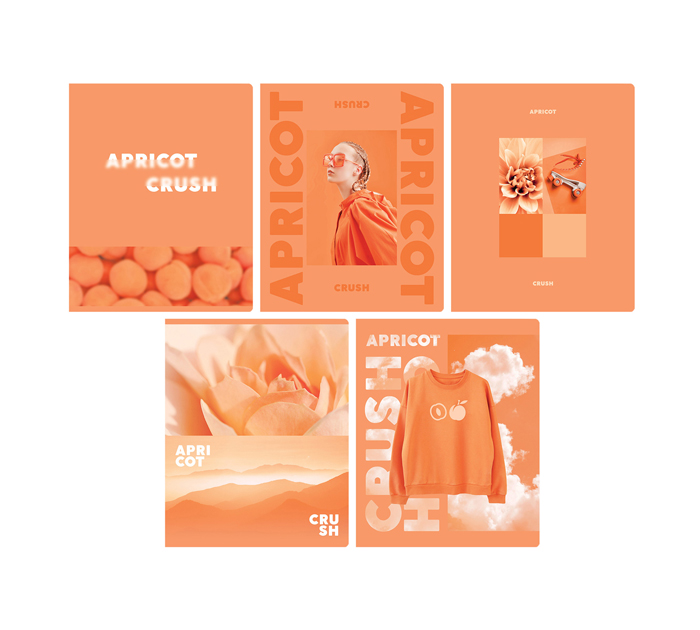 Тетрадь А5 48л клетка, BG «Apricot»