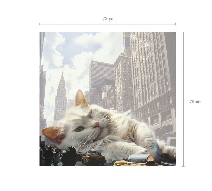 Стикеры Erich Krause «Big City Cats» 75х75мм, пластиковые, ассорти, 50л