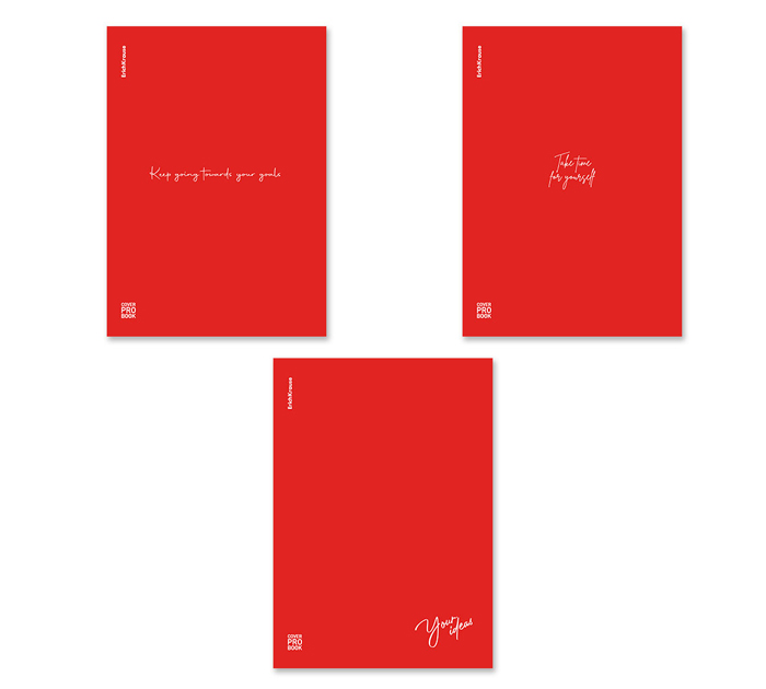Тетрадь А4 48л, клетка, пластиковая обложка, красная, Erich Krause «CoverProBook Words»