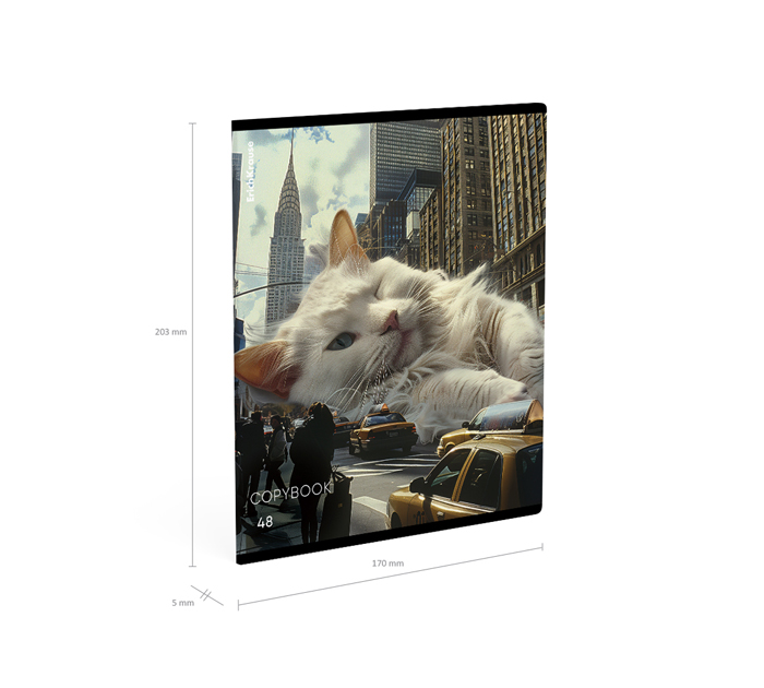 Тетрадь А5 48л клетка, Erich Krause «Вig City Cats»