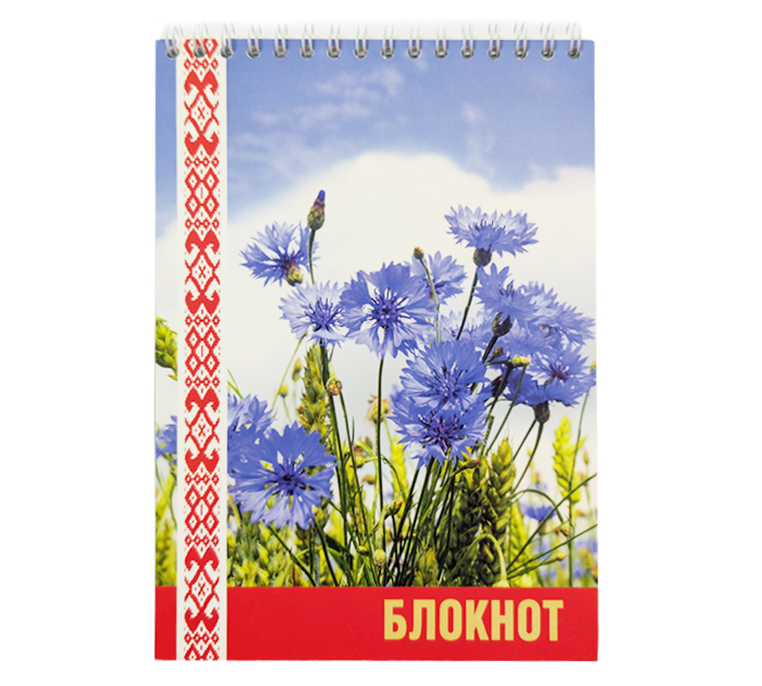 Блокнот А6 на спирали 50л, без линовки, ассорти, 65г/м2
