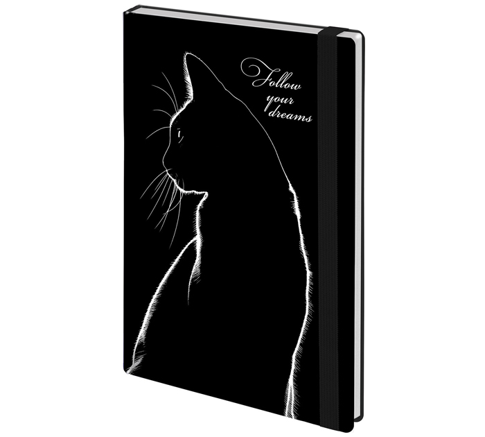 Ежедневник недатированный Brauberg «Black Cat» А5, 320стр