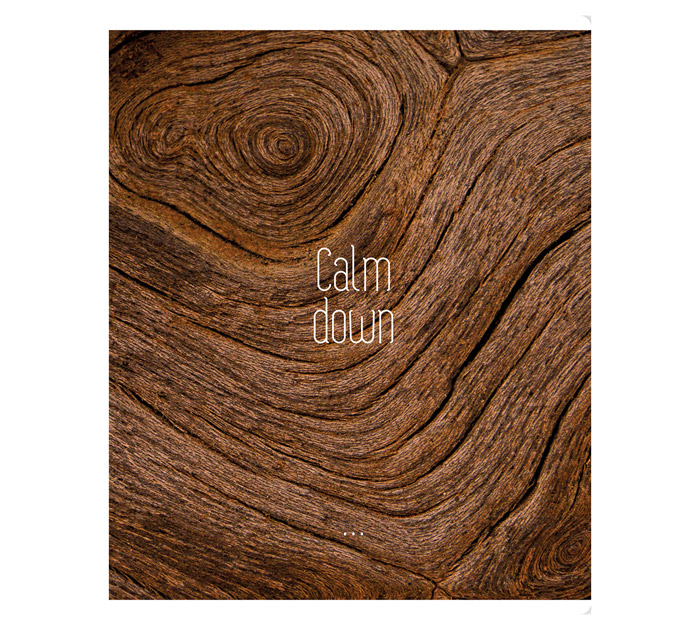 Тетрадь А5 96л клетка, суперэконом, BG «Calm down»
