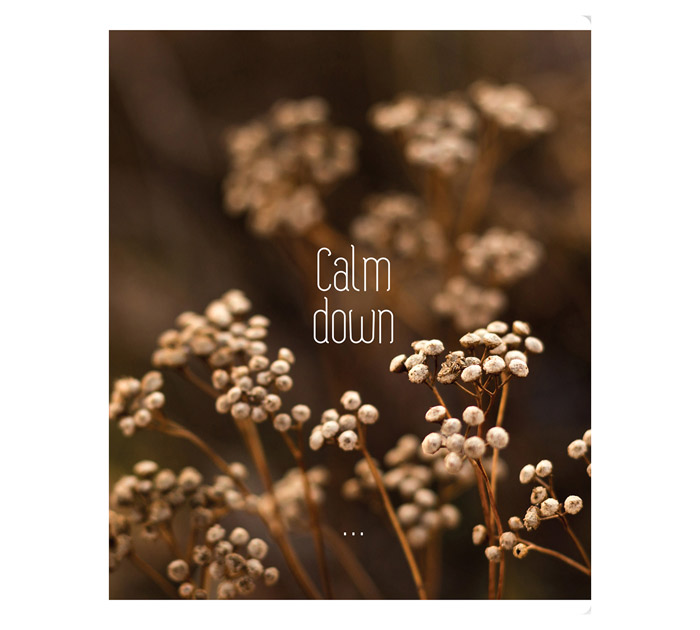Тетрадь А5 96л клетка, суперэконом, BG «Calm down»
