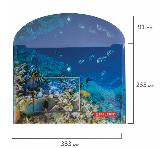 Папка-конверт Brauberg «Sea world» А4, на кнопке, с рисунком, 160мкм
