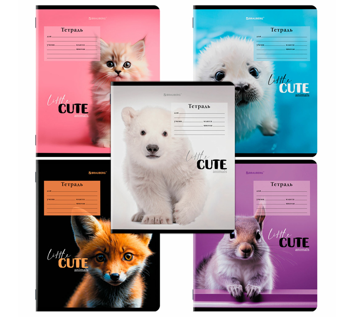 Тетрадь А5 12л клетка, Brauberg «Cute animals»