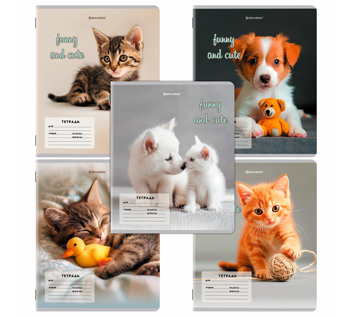 Тетрадь А5 12л косая линейка, Brauberg «Cats and dogs»