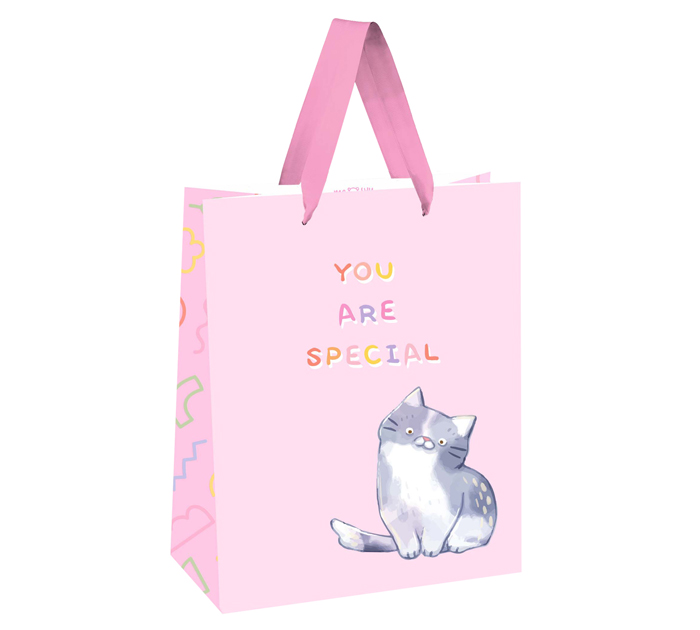 Пакет подарочный Meshu «You are special» 18х23х10см