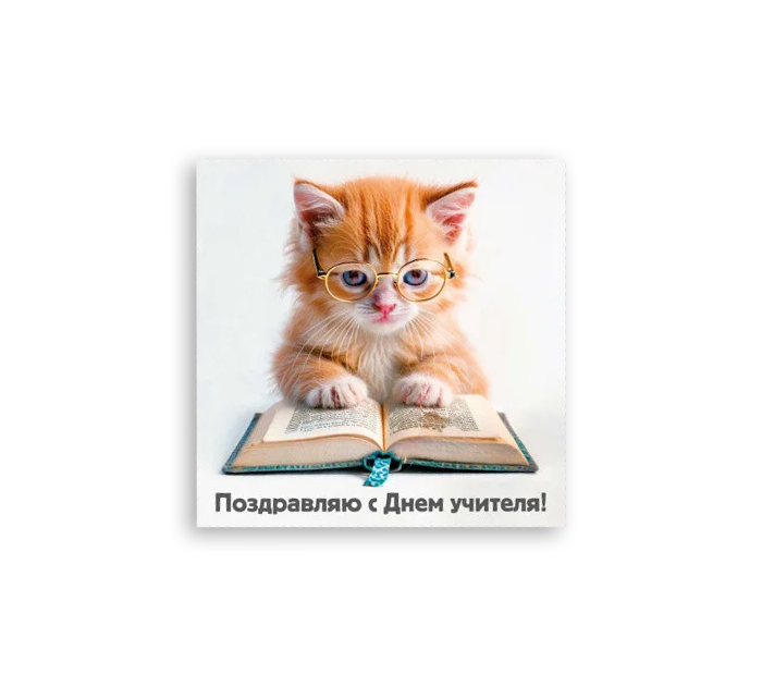 Открытка Panda Print «Поздравляю с днем учителя!», кот, 80х80мм
