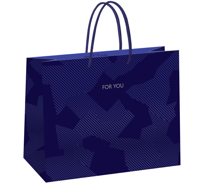 Пакет подарочный Meshu «Blue pattern» 32х26х12см