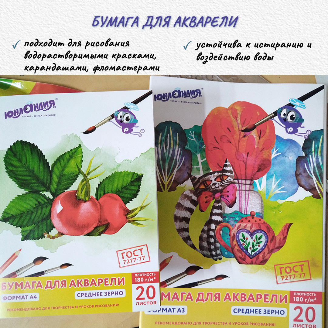 а3